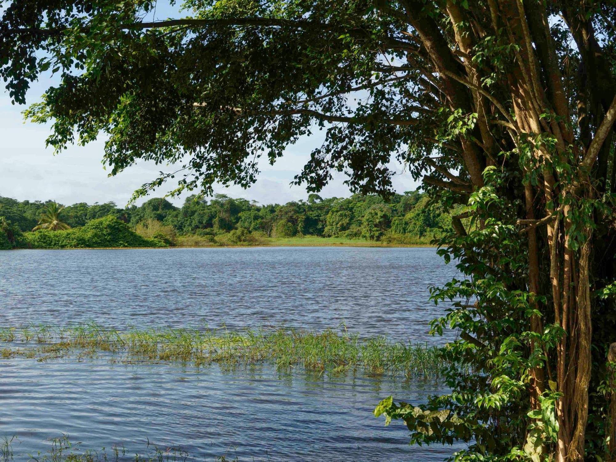 Hotel Mercure Kourou Ariatel Eksteriør bilde
